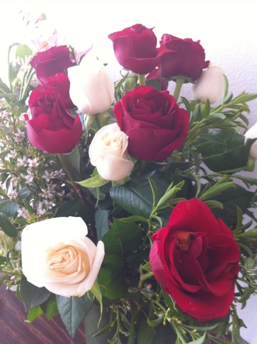 Red and White Roses