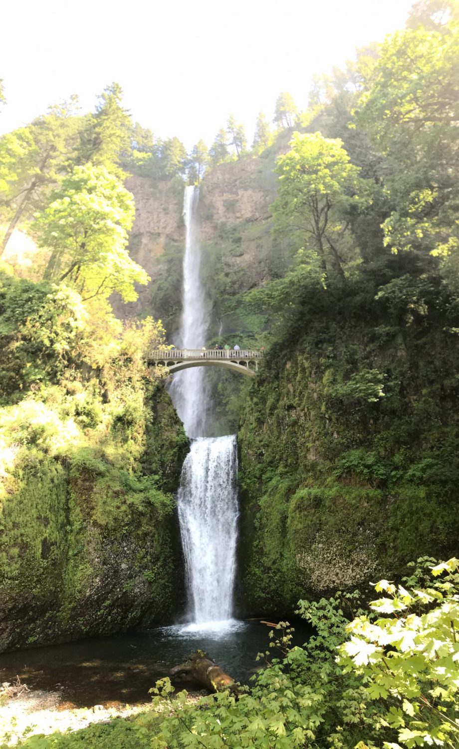 Multnomah Falls