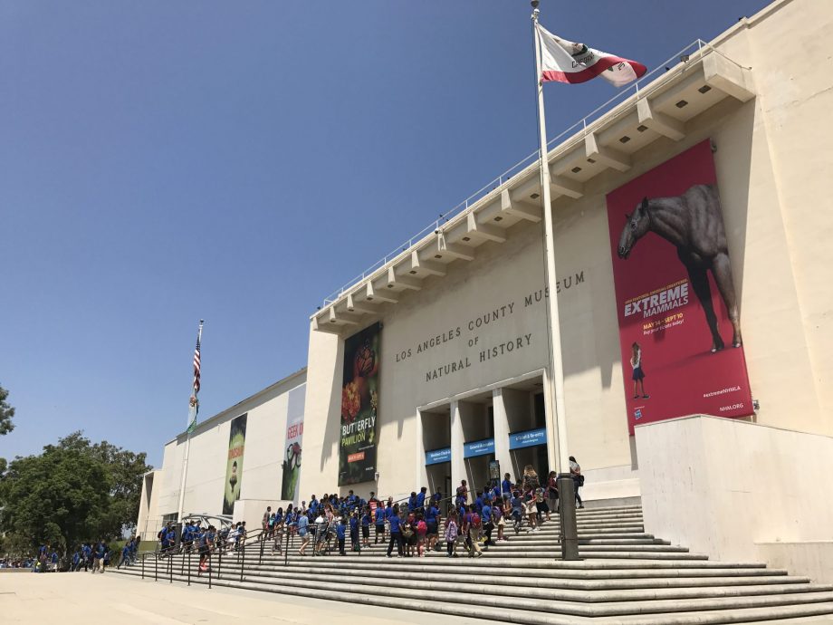 Museum of Natural History