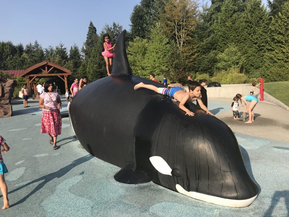 Splashpad in Bellevue